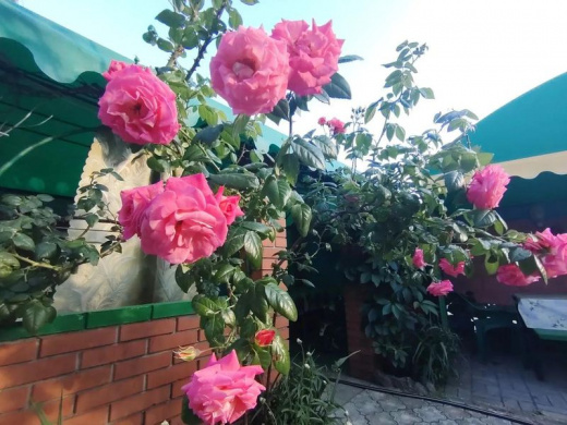 Гостевой дом "Александр и Я"